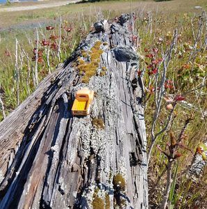 Meet your Posher, Nathan